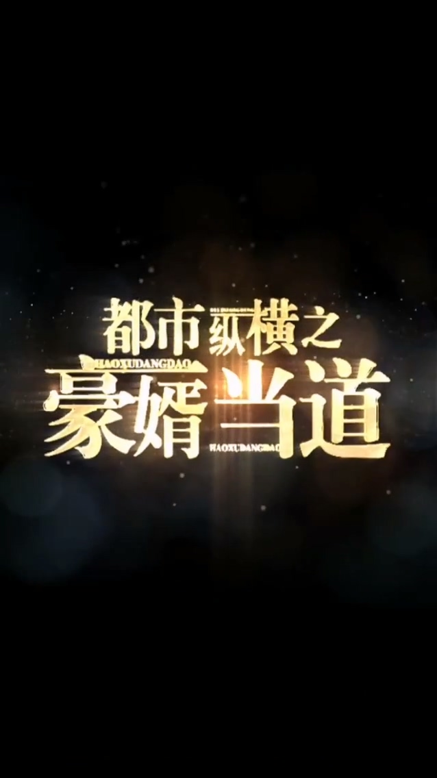 都市纵横之豪婿当道 第27集