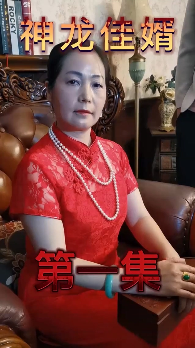神龙佳婿 第45集