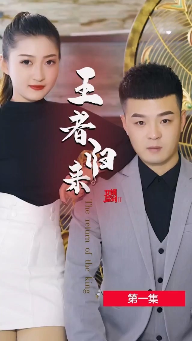 女婿驾到2王者归来 第21集