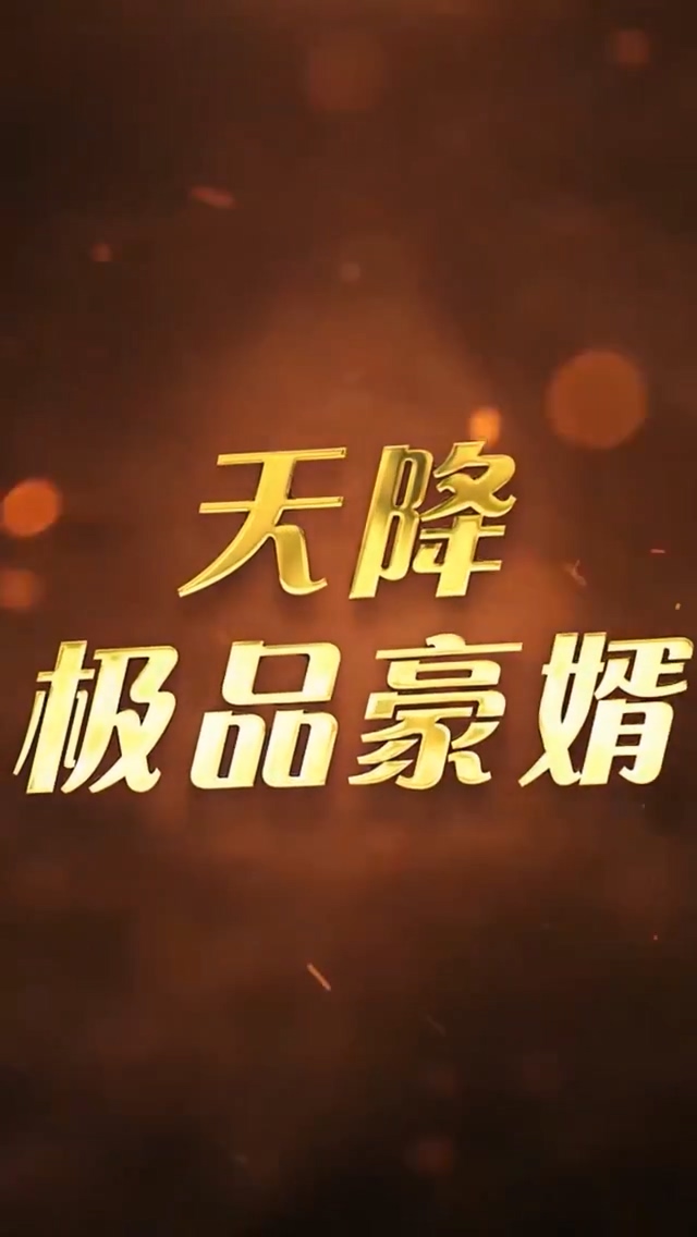 天降极品豪婿 第28集