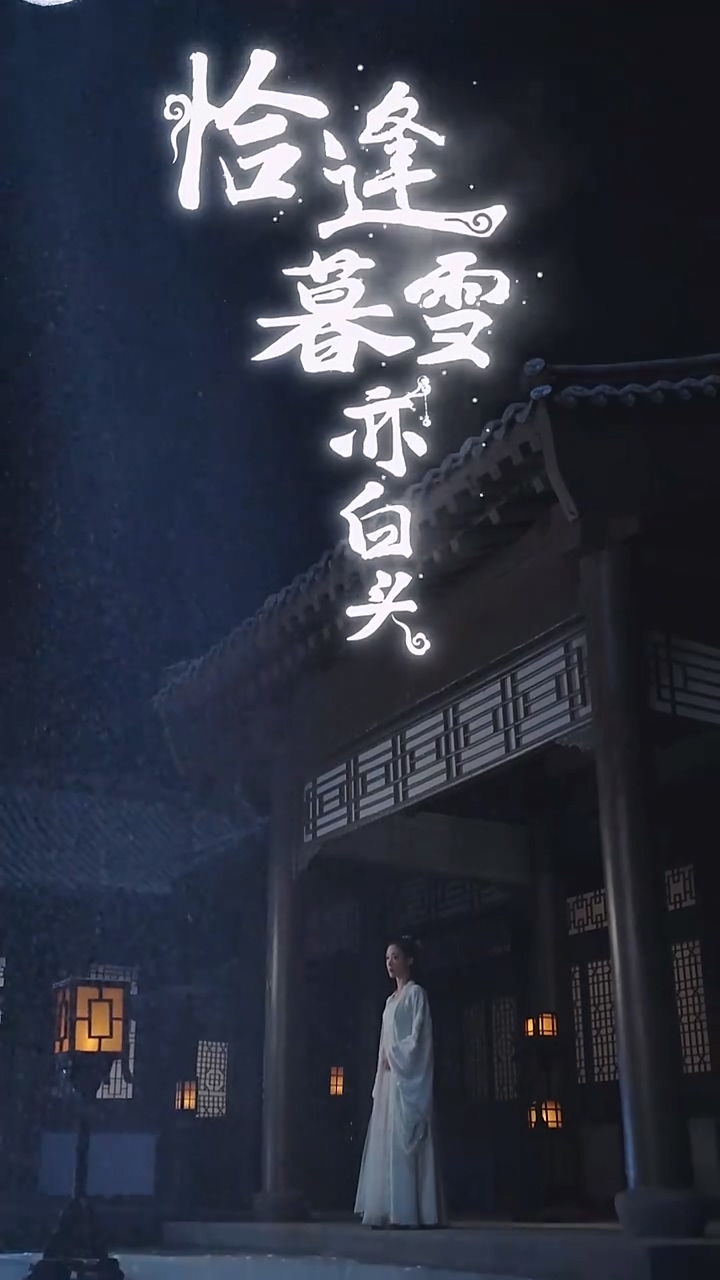 恰逢暮雪亦白头 第39集