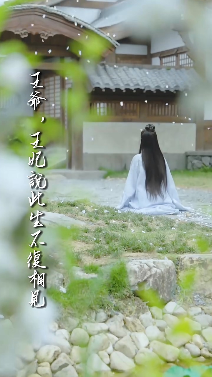 王爷，王妃说此生不复相见 第28集