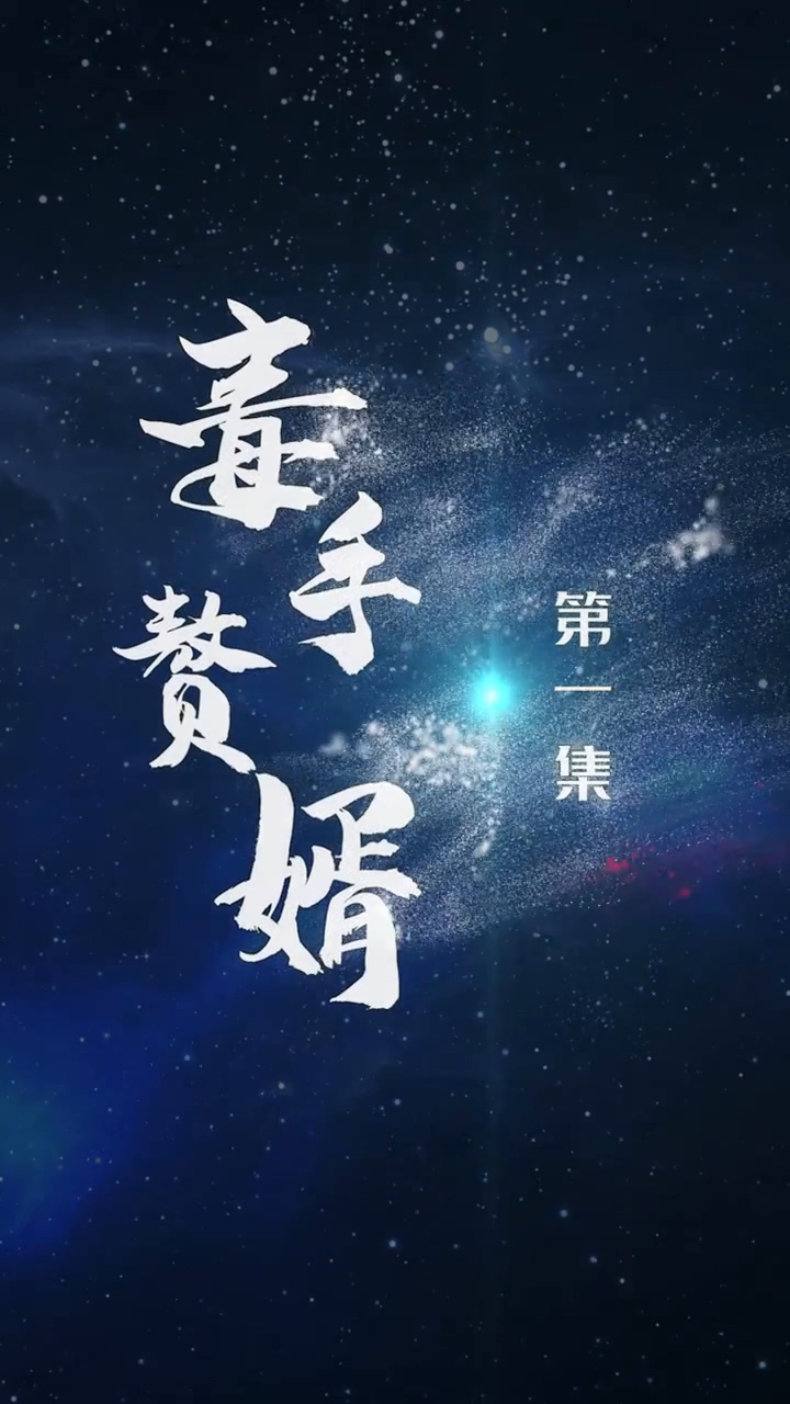 毒手赘婿 第79集