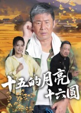 十五的月亮十六圆(全集)