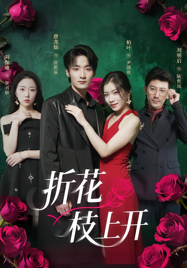 折花枝上开(全集)