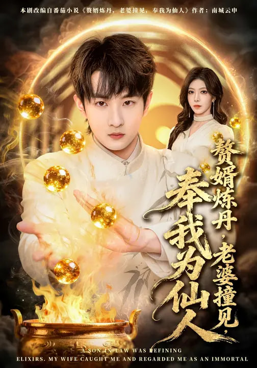 赘婿炼丹，老婆撞见，奉我为仙人(全集)
