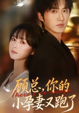 顾总，你的小孕妻又跑了(全集)