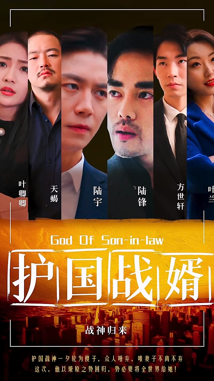 护国战婿 第86集